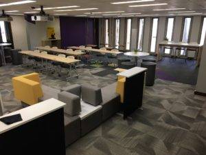 Mankato State University 1
